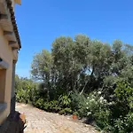 Апартаменты Villa Con Vista Panoramica A Olbia -Levante & Grecale Con Giardino E Parcheggio