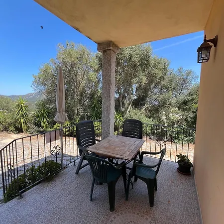 Con Vista Panoramica A -levante & Grecale Con Giardino E Parcheggio Olbia