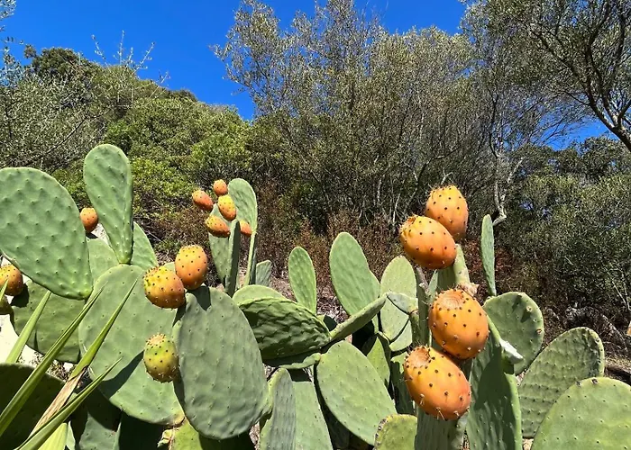 Venti Di - Levante & Grecale Olbia
