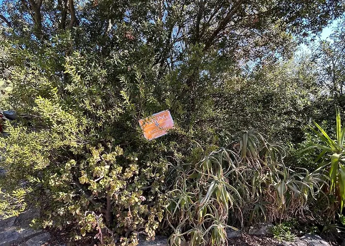 Venti Di - Levante & Grecale * Olbia