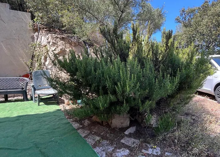 Venti Di - Levante & Grecale *